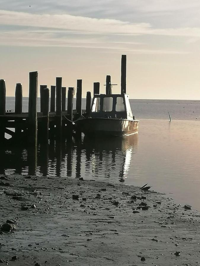 Dock10Texel Bed & Breakfast Де Коксдорп Екстериор снимка